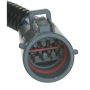 CARTER FUEL PUMPS P74867S Fuel Pump Hanger Assembly