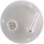 CARTER FUEL PUMPS P76384M Fuel Pump Module Assembly