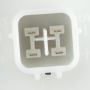 CARTER FUEL PUMPS P77081M Fuel Pump Module Assembly