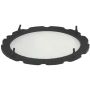 CARTER FUEL PUMPS PTS2019 Fuel Pump Tank Seal