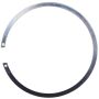 CARTER FUEL PUMPS TLR10 Fuel Tank Lock Ring