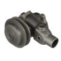 CARTER FUEL PUMPS W1000M Engine Water Pump