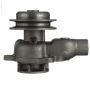 CARTER FUEL PUMPS W1000M Engine Water Pump