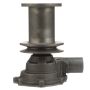 CARTER FUEL PUMPS W144M Engine Water Pump
