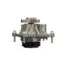 CARTER FUEL PUMPS W1902RF Rapid Fit Engine Water Pump