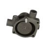 CARTER FUEL PUMPS W1941M Engine Water Pump
