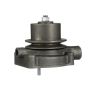 CARTER FUEL PUMPS W1941M Engine Water Pump