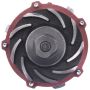 CARTER FUEL PUMPS W2093RF Rapid Fit Engine Water Pump