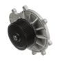 CARTER FUEL PUMPS W2704M Engine Water Pump