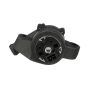 CARTER FUEL PUMPS W2726E Engine Auxiliary Water Pump