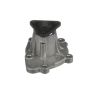 CARTER FUEL PUMPS W2782M Engine Water Pump