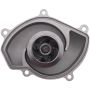 CARTER FUEL PUMPS W2829M Engine Water Pump