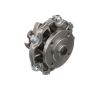 CARTER FUEL PUMPS W625RF Rapid Fit Engine Water Pump