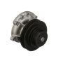 CARTER FUEL PUMPS W9146M Engine Water Pump