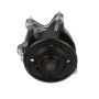 CARTER FUEL PUMPS W9173RF Rapid Fit Engine Water Pump