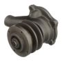 CARTER FUEL PUMPS W9508M Engine Water Pump