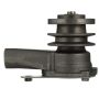 CARTER FUEL PUMPS W9508M Engine Water Pump