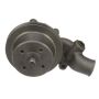 CARTER FUEL PUMPS W9552M Engine Water Pump