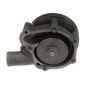 CARTER FUEL PUMPS W9559M Engine Water Pump