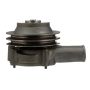 CARTER FUEL PUMPS W9559M Engine Water Pump