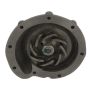 CARTER FUEL PUMPS WHD6550M Engine Water Pump