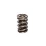 COMP Cams Valve Spring Stock Late Model