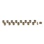 PAC RACING SPRINGS PACPAC-L8006-16 11/32 Valve Lock Set - 10 Degree Titanium