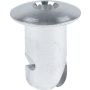 ALLSTAR PERFORMANCE ALL19173 Oval Allen Hd Fasteners 7/16 .500in 50pk Alum