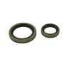 All Balls Racing 24-2043 09-18 Beta EVO 4T 250 Crank Shaft Seal Only Kit