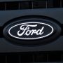 Putco 92603 18-20 Ford F-150 Front Luminix Ford LED Emblem - Fits Honeycomb Grillee