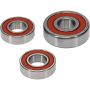 Pivot Works 25-1065-P Kawasaki Wheel Bearing Kit Premium Bearings