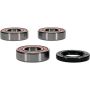 Pivot Works 25-1582-P Suzuki Wheel Bearing Kit Premium Bearings