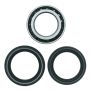 QuadBoss 413482 03-05 Honda TRX650FA FourTrax Rincon 4x4 AT Rear ATV Wheel Bearing & Seal Kit