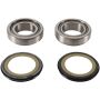 Pivot Works PWSSK-H23-000 73-85 Honda ATC70 PW Steering Stem Bearing Kit