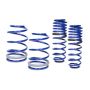 Ford Racing M-5300-KA 2005-2014 Mustang GT Street Lowering Springs