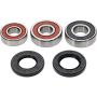 Pivot Works 25-1232-P Honda, Hyosung, Yamaha Wheel Bearing Kit Premium Bearings