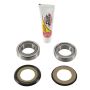Pivot Works PWSSK-H21-000 14-17 Honda CRF250R PW Steering Stem Bearing Kit