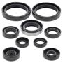 Vertex Pistons 822316 Vertex Gaskets 06-16 Kawasaki KX250F Oil Seal Kit
