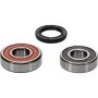 Pivot Works 25-1237-P Honda Wheel Bearing Kit Premium Bearings