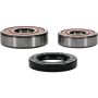 Pivot Works 25-1361-P Honda Wheel Bearing Kit Premium Bearings