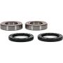 Pivot Works 25-1315-P Eton, Yamaha Wheel Bearing Kit Premium Bearings