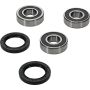Pivot Works 25-1155-P Honda Wheel Bearing Kit Premium Bearings