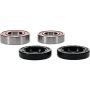 Pivot Works 25-1050-P Honda Wheel Bearing Kit Premium Bearings