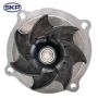 SKYWARD AUTOMOTIVE SK1252450 Engine Water Pump