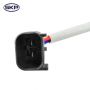 SKYWARD AUTOMOTIVE SK741969 Power Window Motor and Regulator Assembly