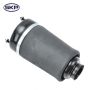 SKYWARD AUTOMOTIVE SKAS018 Air Suspension Spring