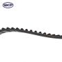 SKYWARD AUTOMOTIVE SKT179 Engine Timing Belt