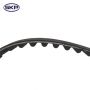 SKYWARD AUTOMOTIVE SKT186 Engine Timing Belt