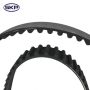 SKYWARD AUTOMOTIVE SKT210 Engine Timing Belt