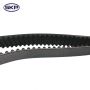 SKYWARD AUTOMOTIVE SKT295 Engine Timing Belt
